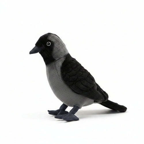 The 23CM Western Jackdaw plush doll shown perching upright from a front three-quarter view on a clean background.