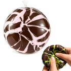 Handmade Dark Chocolate Ballscrispy And Super Satisfying To Squeeze, Milk Strawberry Chocolate
