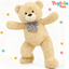 Beige teddy bear with a checkered bow tie on a white background with decorative elements.