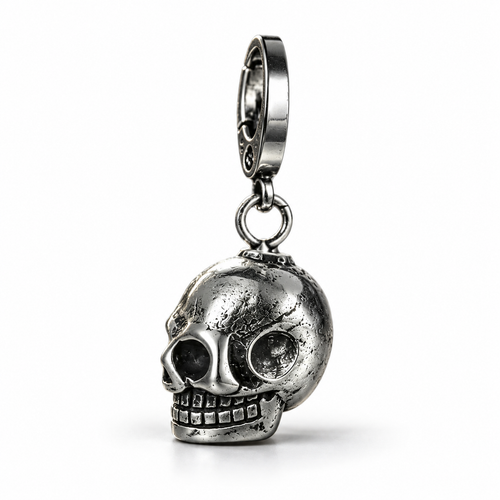 Silver Stainless Steel Skull Keychain Personality EDC Keyring - alternate view