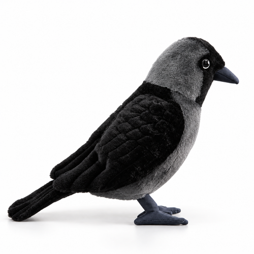23CM Original Western Jackdaw Plush Doll Cute Bird Stuffed Toy - alternate view