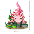 Axolotl building set on rock and plant base, front view with size lines: 20 cm / 7.9 in wide, 31 cm / 12.2 in tall