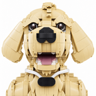 Close-up of the brick-built golden retriever face with black nose, pink tongue and collar tag
