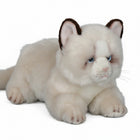 19CM Ultra-Soft Stuffed Cat Doll Lifelike Kitten Plush Toy