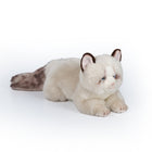 19CM Ultra-Soft Stuffed Cat Doll Lifelike Kitten Plush Toy