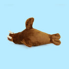 20CM Realistic Walrus Plush Toy Simulated Arctic Animal Doll