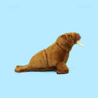 20CM Realistic Walrus Plush Toy Simulated Arctic Animal Doll