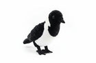 23CM Realistic Daurian Jackdaw High Fidelity Crow Plush Toy