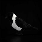 23CM Realistic Daurian Jackdaw High Fidelity Crow Plush Toy
