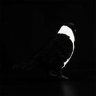 23CM Realistic Daurian Jackdaw High Fidelity Crow Plush Toy