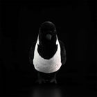 23CM Realistic Daurian Jackdaw High Fidelity Crow Plush Toy
