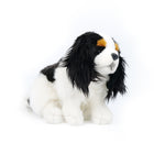 23CM Cavalier King Charles Spaniel Plush Toy Dog Doll