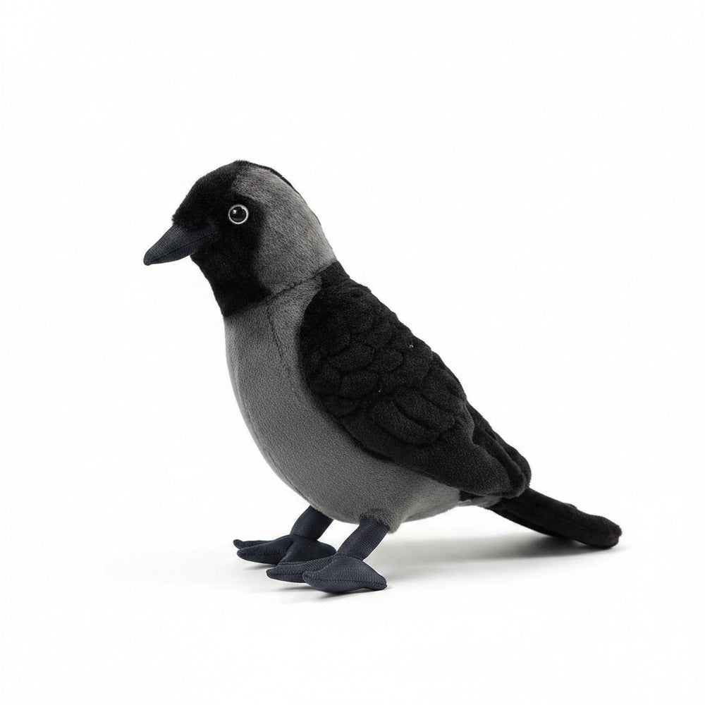 23CM Original Western Jackdaw Plush Doll Cute Bird Stuffed Toy