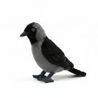 23CM Original Western Jackdaw Plush Doll Cute Bird Stuffed Toy