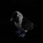 23CM Original Western Jackdaw Plush Doll Cute Bird Stuffed Toy