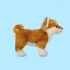 24CM Akita Dog Plush Toy Cute Realistic Stuffed Puppy Doll