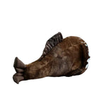 36CM Angled-Body Golden-Eyed Grouper Plush Toy Sea Animal