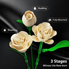 16 Champagne White Roses Building Blocks - 523PCS Botanical Set with Lights