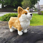 30CM Cute Welsh Corgi Plush Toy Short-Legged Dog Stuffed Animal