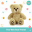 Plush teddy bear with paw prints on a white background, featuring the ToyLivia Toys brand.