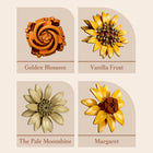 939PCS Golden Moon Flower Building Blocks Wall Decor Set