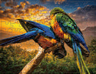 100 Pieces Cartoon Animals Parrot Jigsaw Puzzle Toy