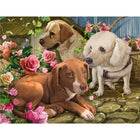 Three Dogs with Flower 100 Piece Jigsaw Puzzle Kids & Adults