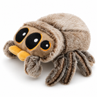 Black Spider Plush Toy Lucas Jumping Spider Stuffed Pillow