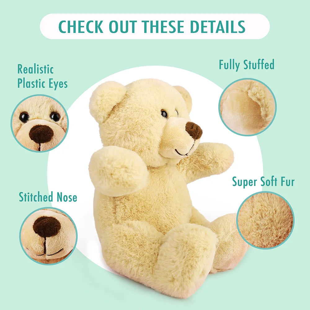 Plush teddy bear with features highlighted on a light green background