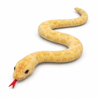 Macula Boa three-quarter-left studio image