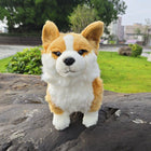 30CM Cute Welsh Corgi Plush Toy Short-Legged Dog Stuffed Animal
