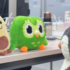 Duo Green Owl Plush Toy – 30cm Soft Stuffed Mascot