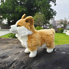 30CM Cute Welsh Corgi Plush Toy Short-Legged Dog Stuffed Animal