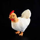 30cm The Hen Plush Toy Doll - Cute Cartoon Chicken Stuffed Animal