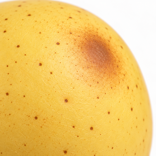 Realistic Potato Stress Relief Toy Soft Squeeze Fidget - alternate view