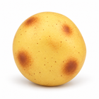 Side view of the round golden potato-shaped squishy fidget toy on white background.