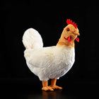 30cm The Hen Plush Toy Doll - Cute Cartoon Chicken Stuffed Animal