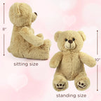 Two teddy bears shown in sitting and standing positions with measurements on a pink background