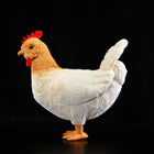 30cm The Hen Plush Toy Doll - Cute Cartoon Chicken Stuffed Animal